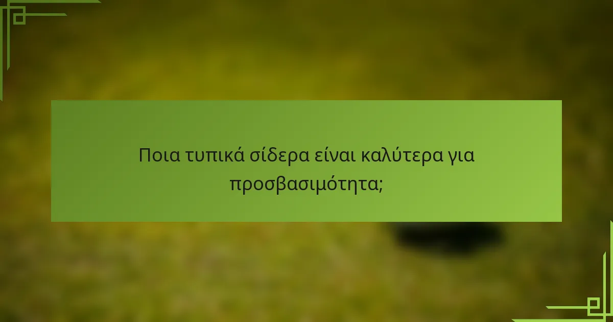 Ποια τυπικά σίδερα είναι καλύτερα για προσβασιμότητα;