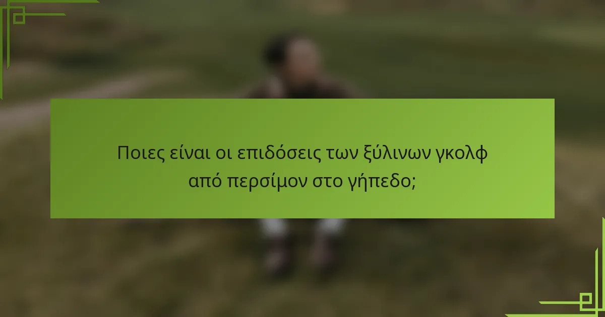 Ποιες είναι οι επιδόσεις των ξύλινων γκολφ από περσίμον στο γήπεδο;